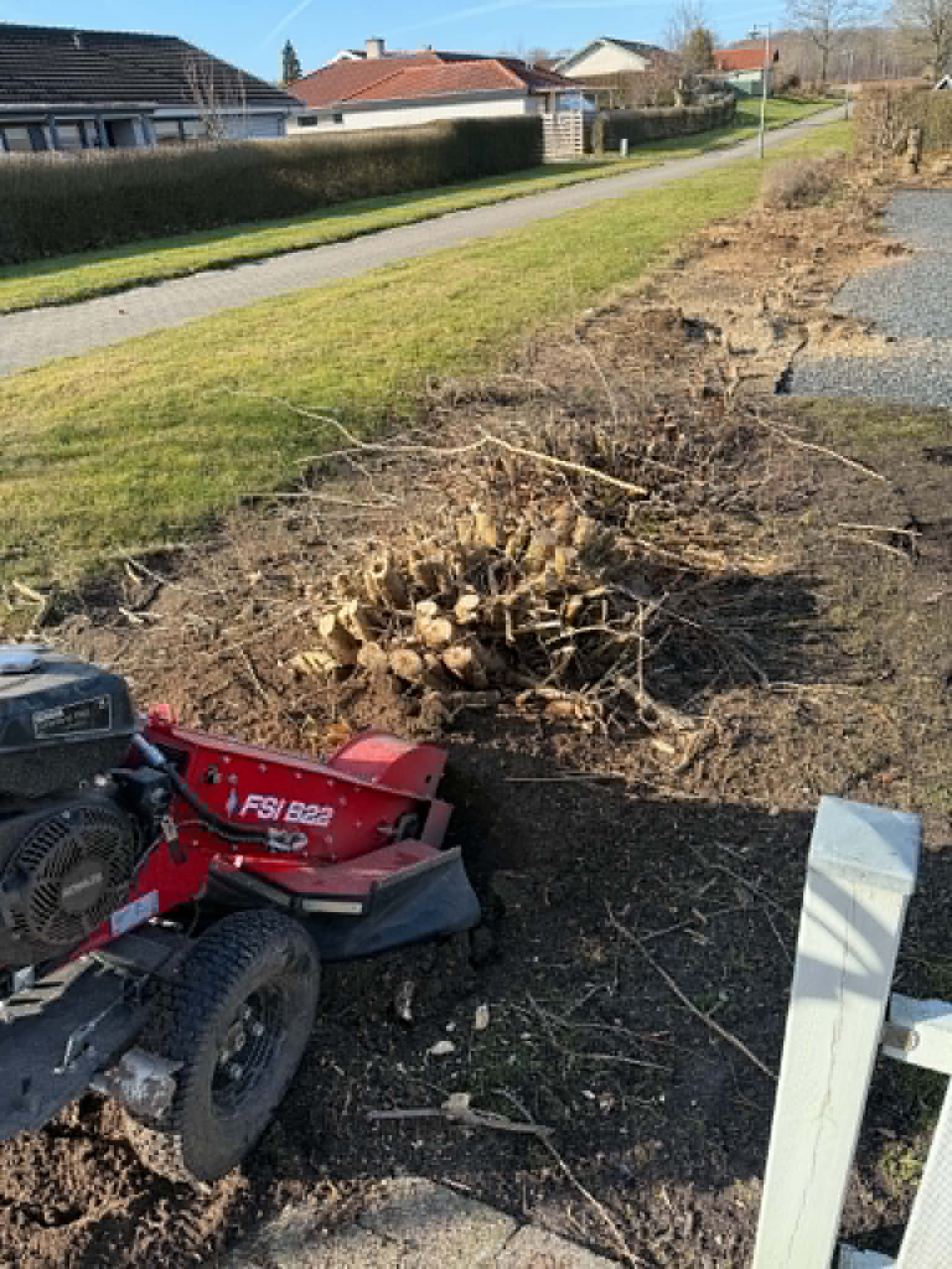 Fjerne og fræse gammel hæk og plante ny